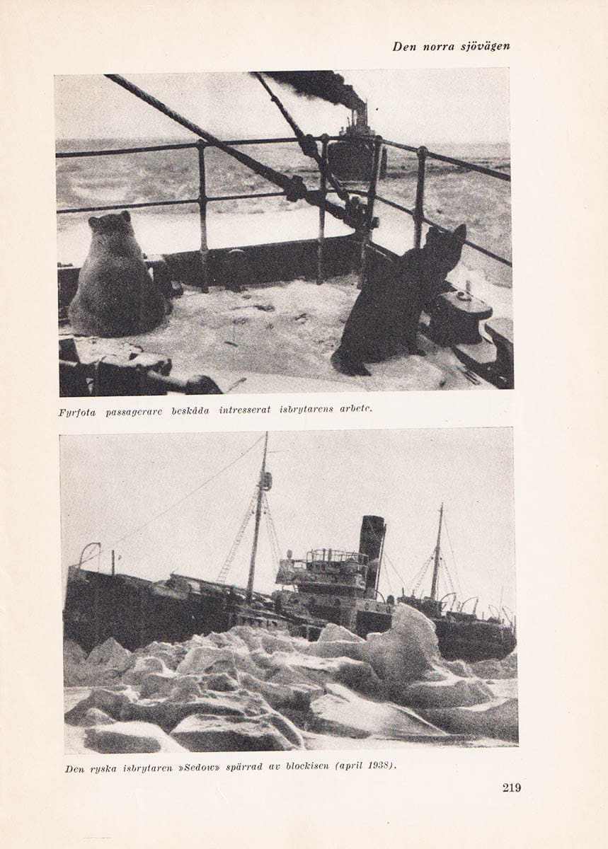 John Walterson : Den norra sjövägen (Nordostpassagen)