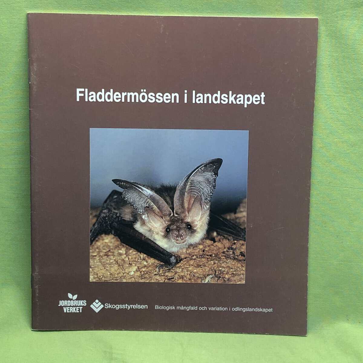 Johnny de Jong : Fladdermössen i landskapet