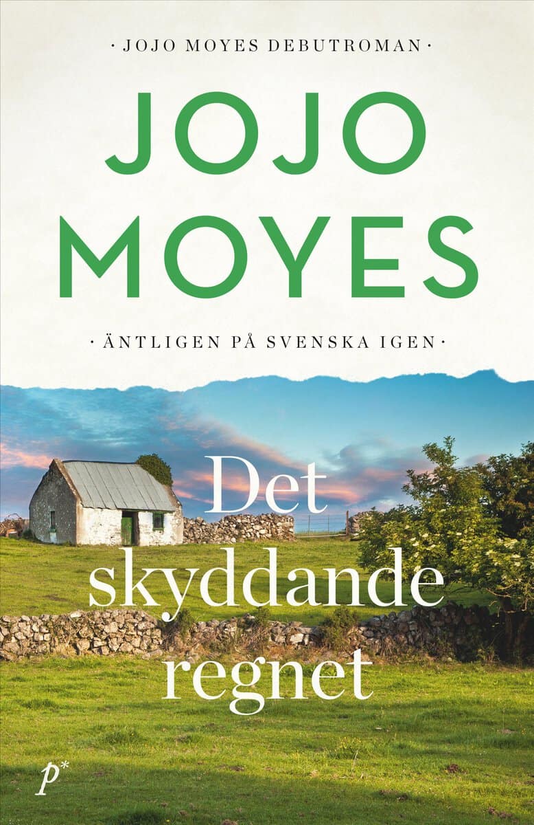 Jojo Moyes : Det skyddande regnet