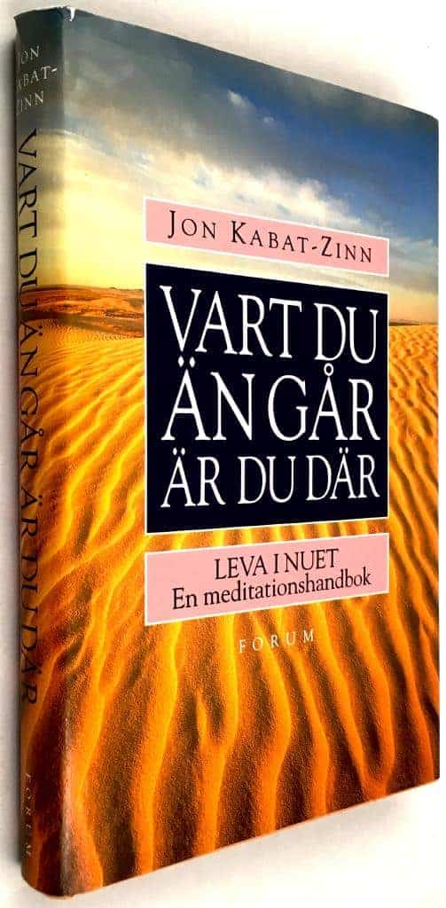 Jon Kabat-Zinn : Vart du än går är du där
