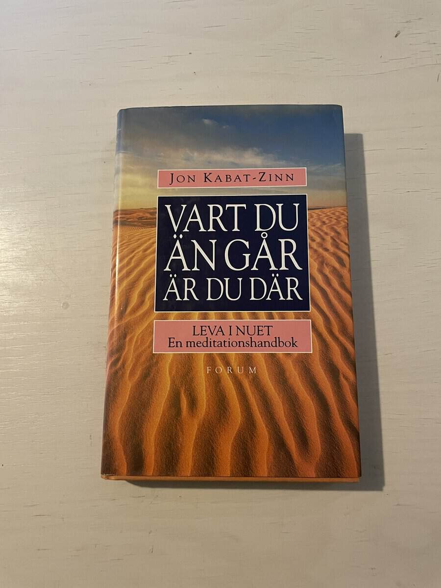 Jon Kabat-Zinn : Vart du än går är du där