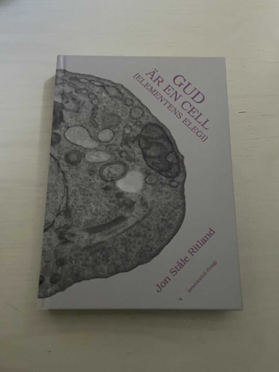 Jon Ståle Ritland : Gud är en cell