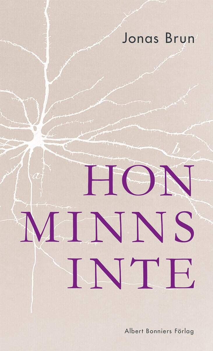 Jonas Brun : Hon minns inte