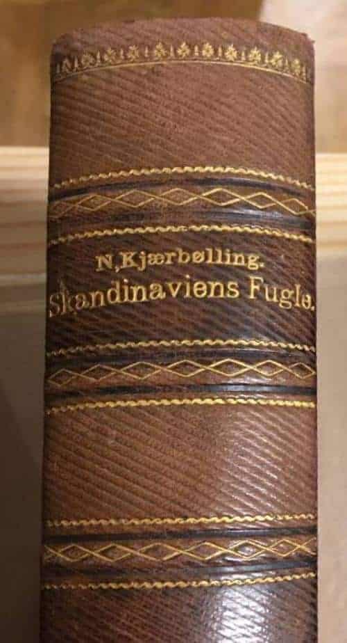 Jonas Collin : Skandinaviens Fugle, med saerligt hensyn til Danmark och de nordlige bilande.