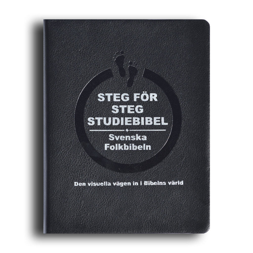 Jonas Dagson : Steg för steg Studiebibel