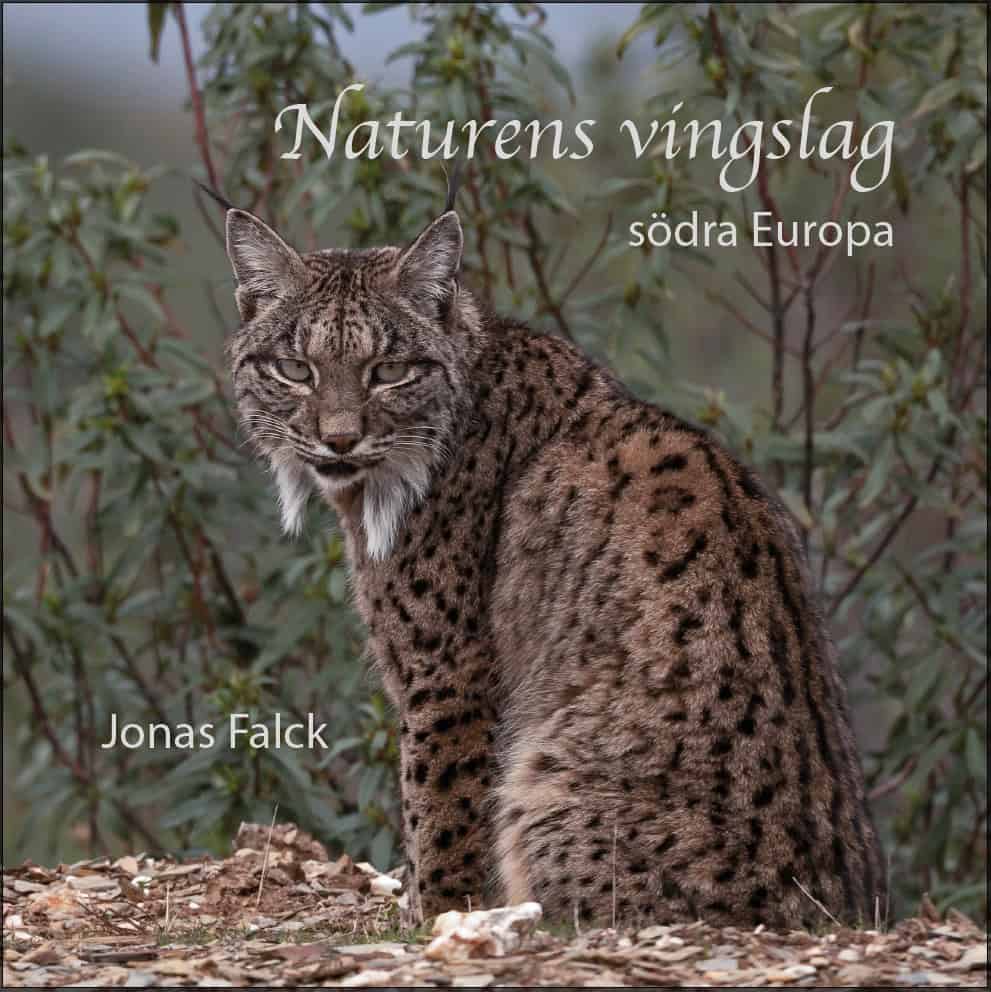 Jonas Falck : Naturens vingslag : södra Europa