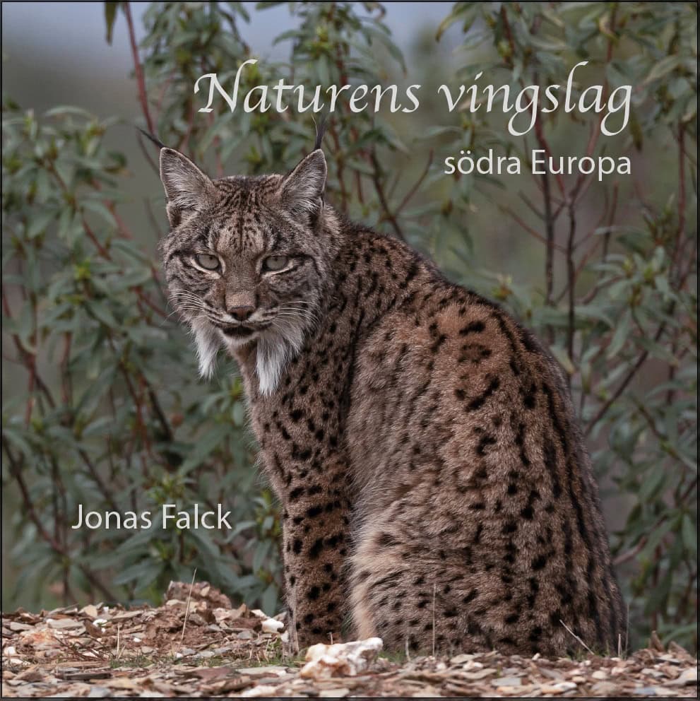 Jonas Falck : Naturens vingslag : södra Europa