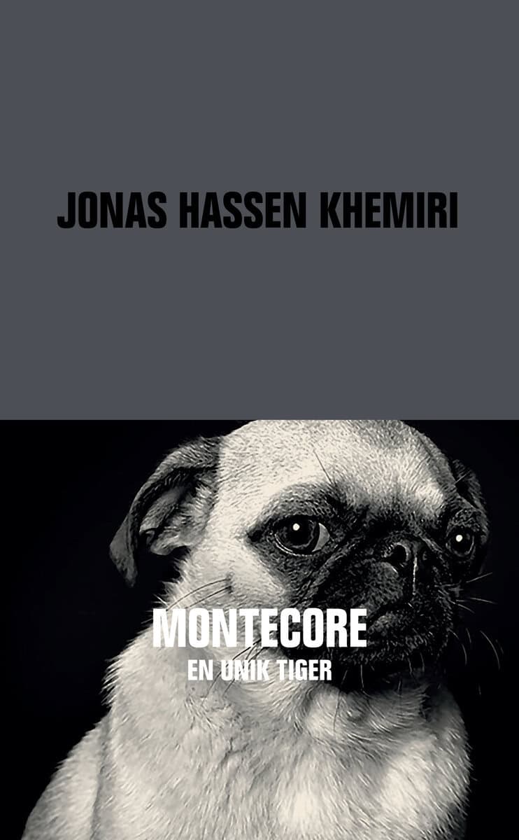 Jonas Hassen Khemiri : Montecore