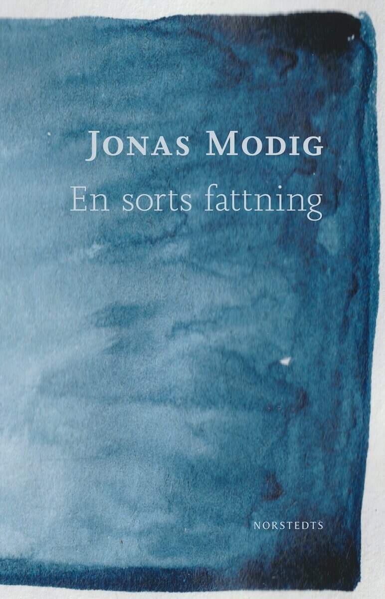 Jonas Modig : En sorts fattning