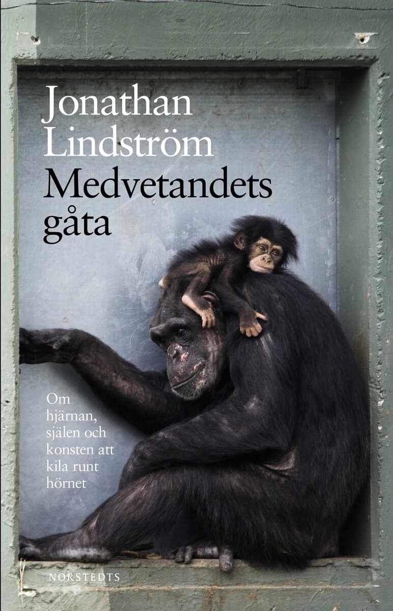 Jonathan Lindström : Medvetandets gåta : om hjärnan, själen och konsten att kila runt hörnet