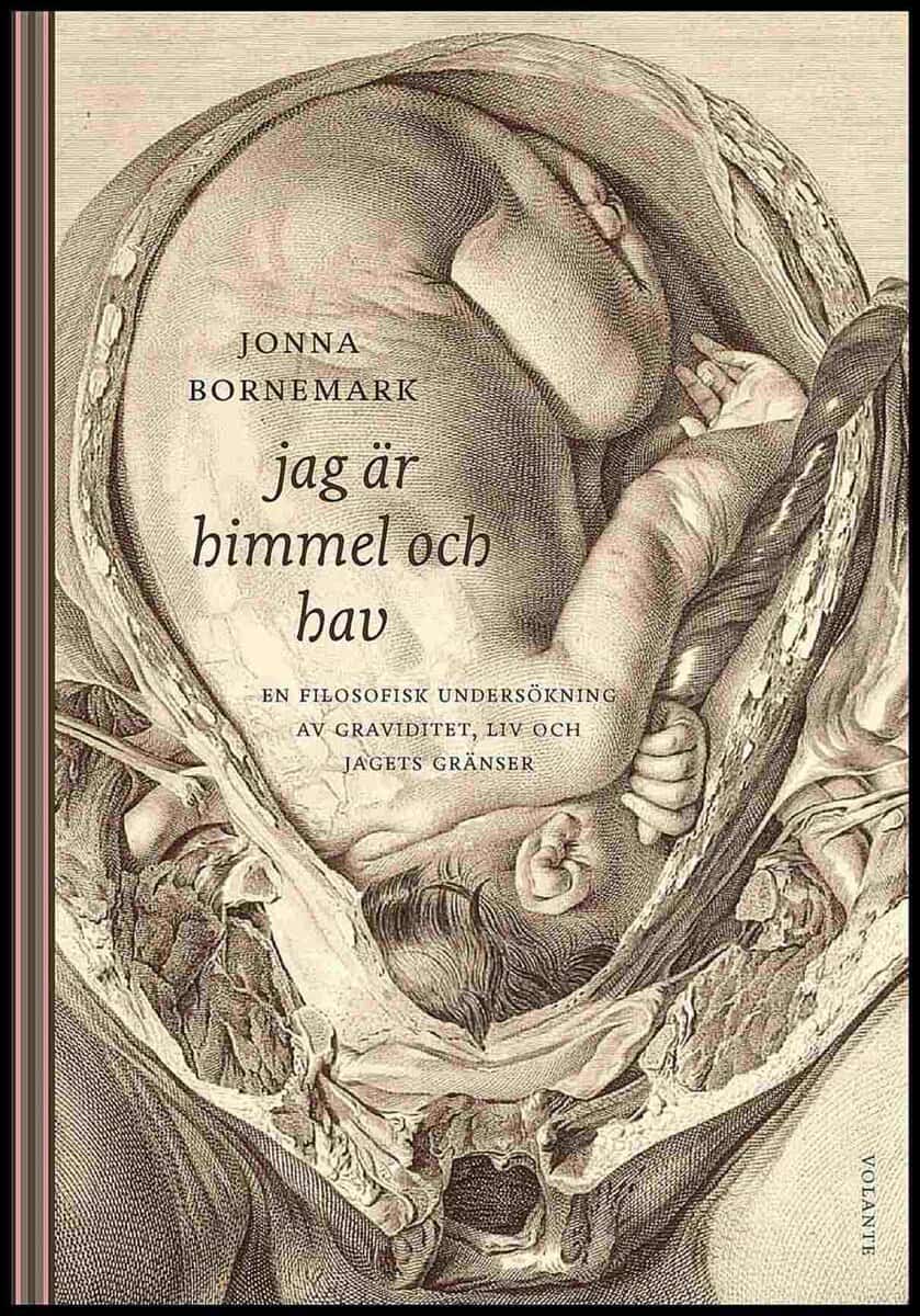 Jonna Bornemark : Jag är himmel och hav