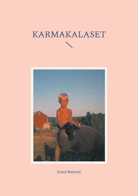 Jonny Heyman : Karmakalaset : om en resa i dimma med trasig kompass
