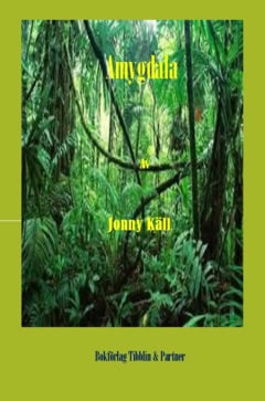 Jonny Käll : Amygdala