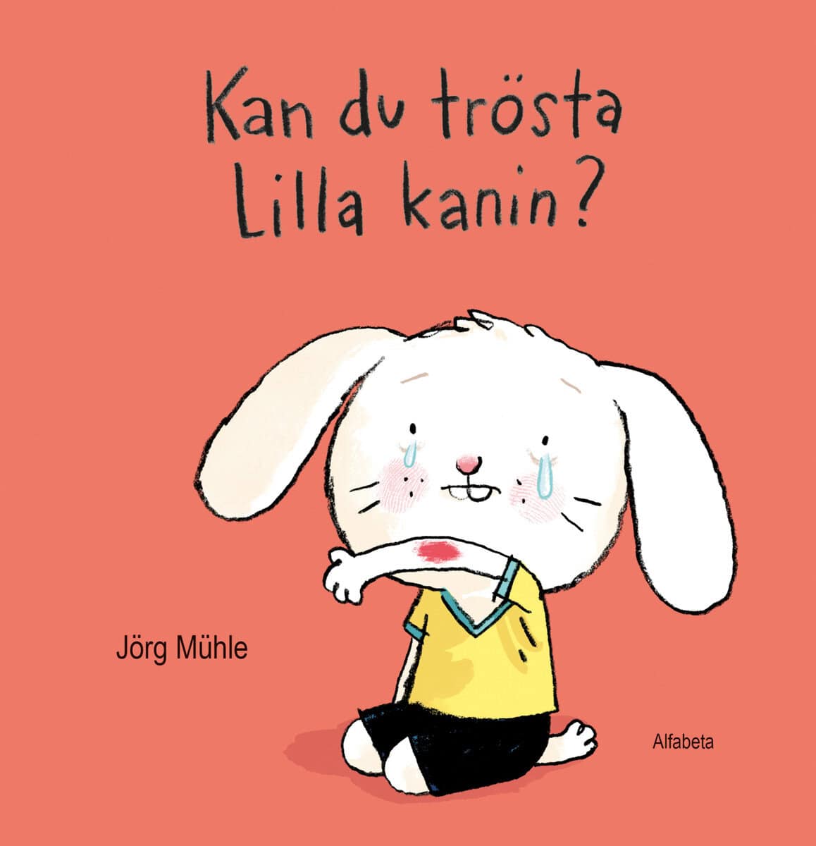 Jörg Mühle : Kan du trösta Lilla kanin?