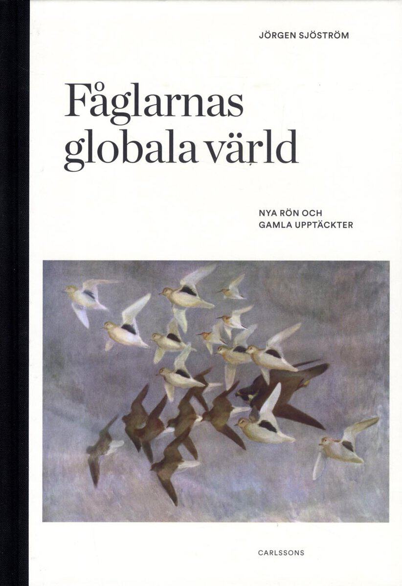 Jörgen Sjöström : Fåglarnas globala värld : nya rön och gammal kunskap