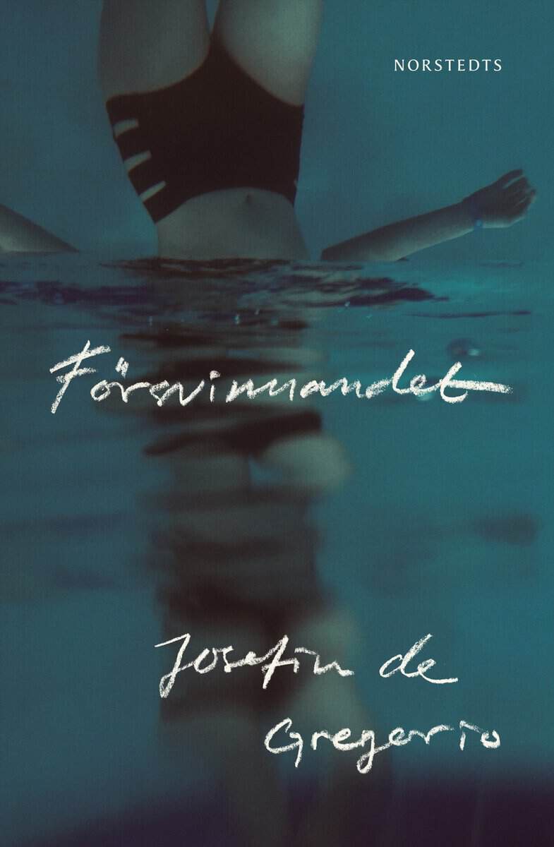 Josefin de Gregorio : Försvinnandet