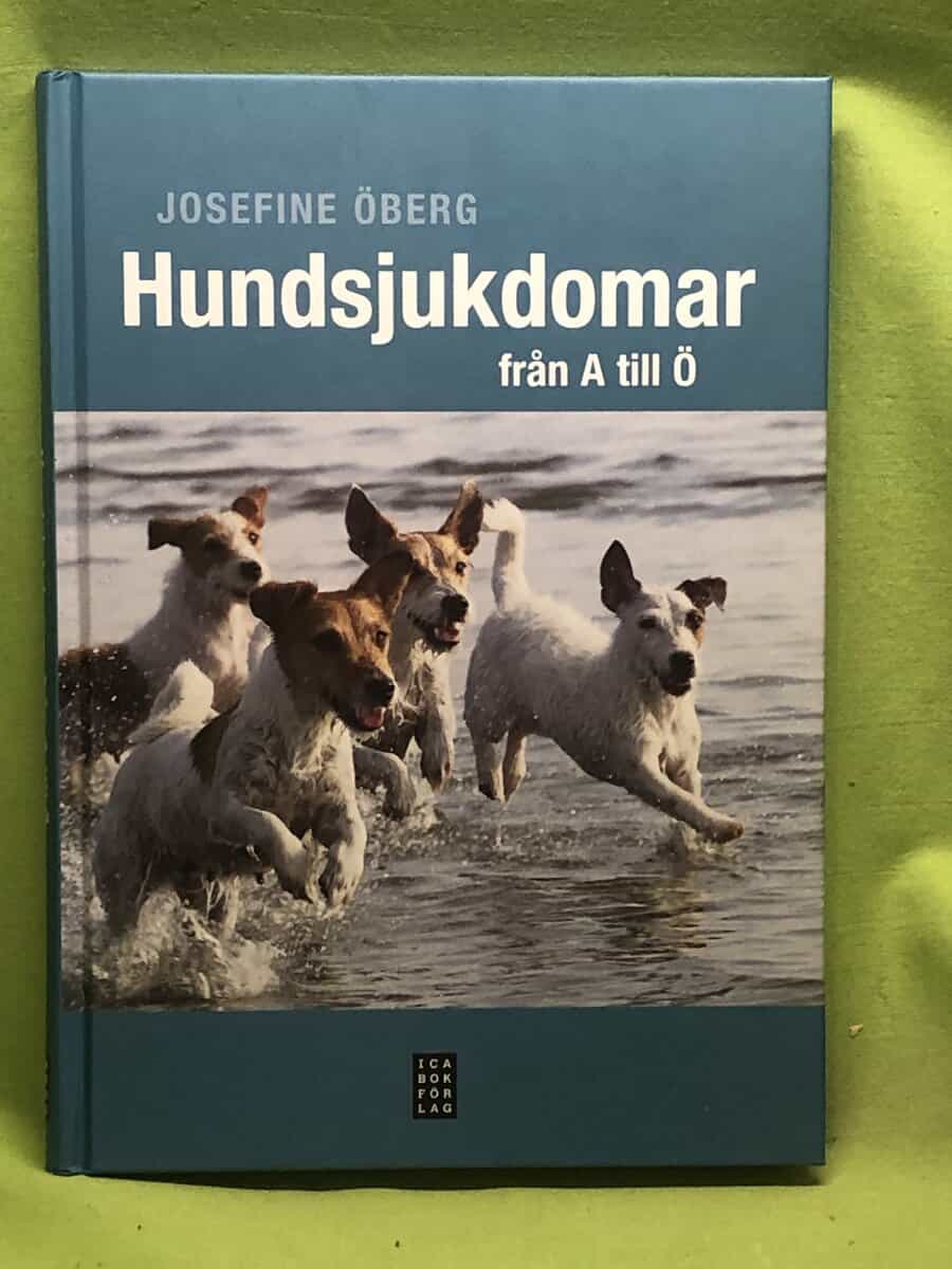 Josefine Öberg : Hundsjukdomar från A  till Ö