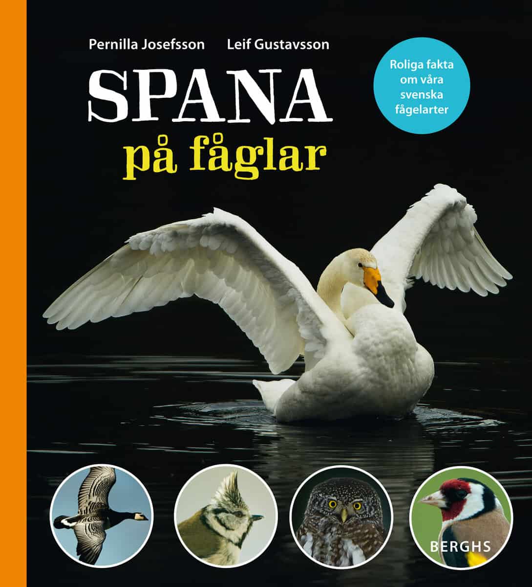 Josefsson, Pernilla ; Gustavsson, Leif : Spana på fåglar