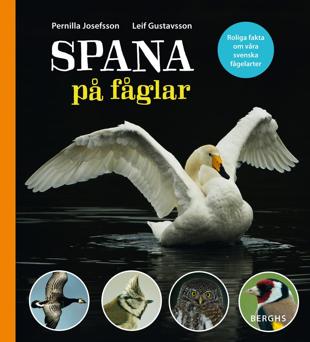 Josefsson, Pernilla ; Gustavsson, Leif : Spana på fåglar