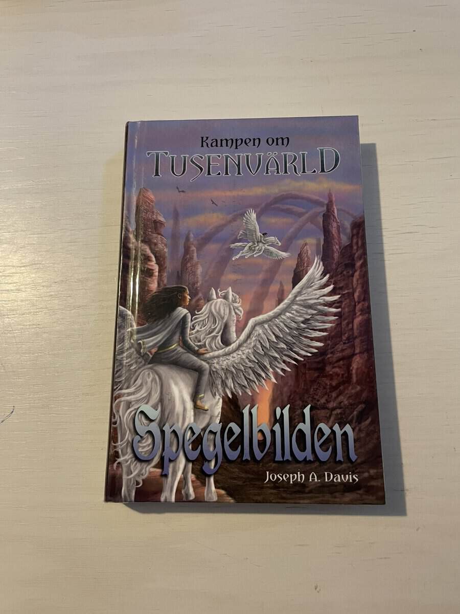 Joseph A. Davis : Kampen om tusenvärld - Spegelbilden