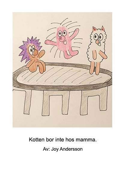Joy Andersson : Kotten bor inte hos mamma