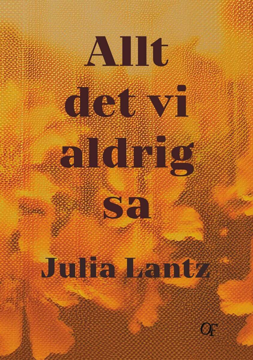Julia Lantz : Allt det vi aldrig sa