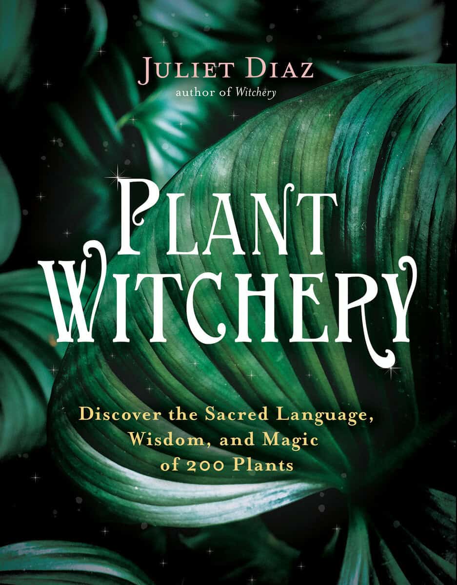Juliet Diaz : Plant Witchery