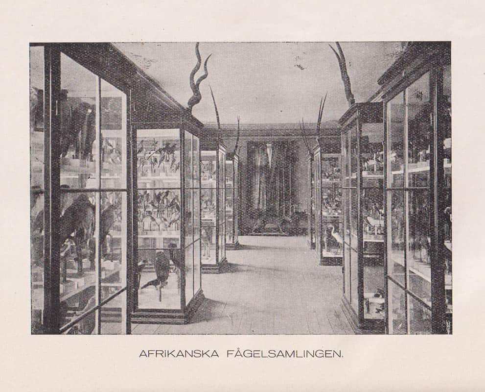 K. G. Cedergren : Vänersborgs museums historia