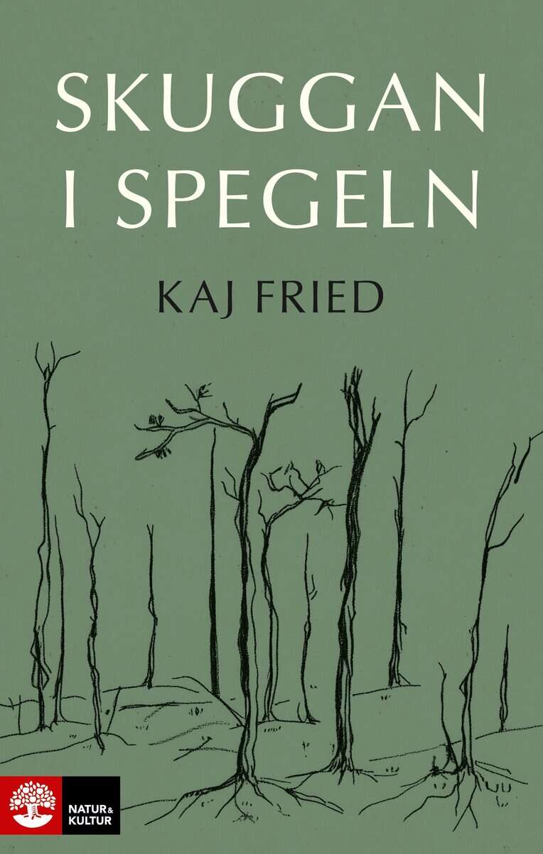 Kaj Fried : Skuggan i spegeln