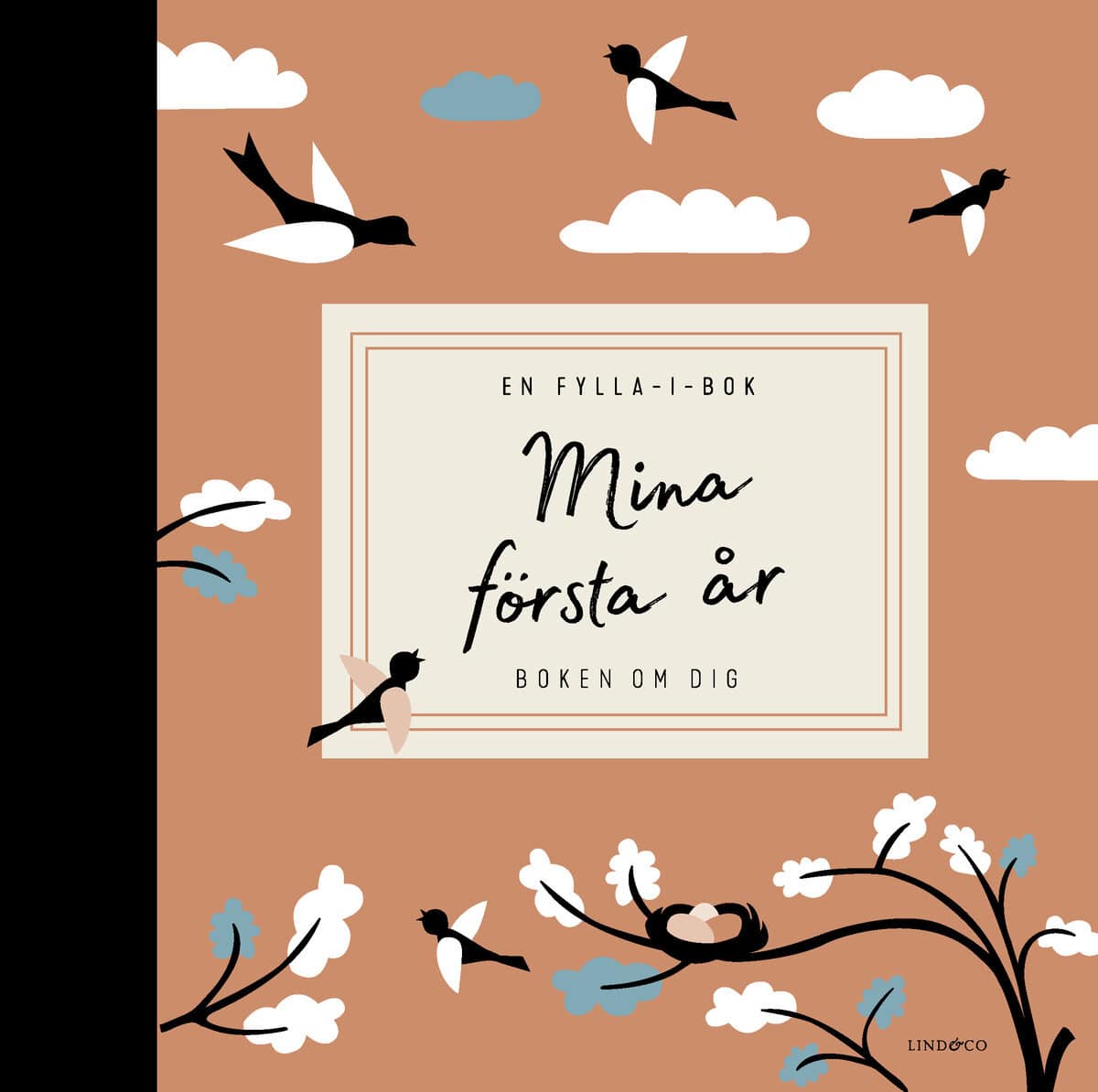 Kajsa Willén : Mina första år