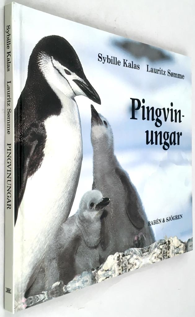 Kalas, Sybille ; Sømme, Lauritz ; Bonow-Hathorn, Stella : Pingvinungar