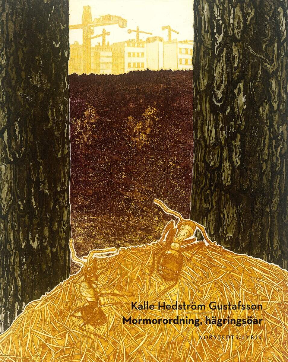 Kalle Hedström Gustafsson : Mormorordning, hägringsöar