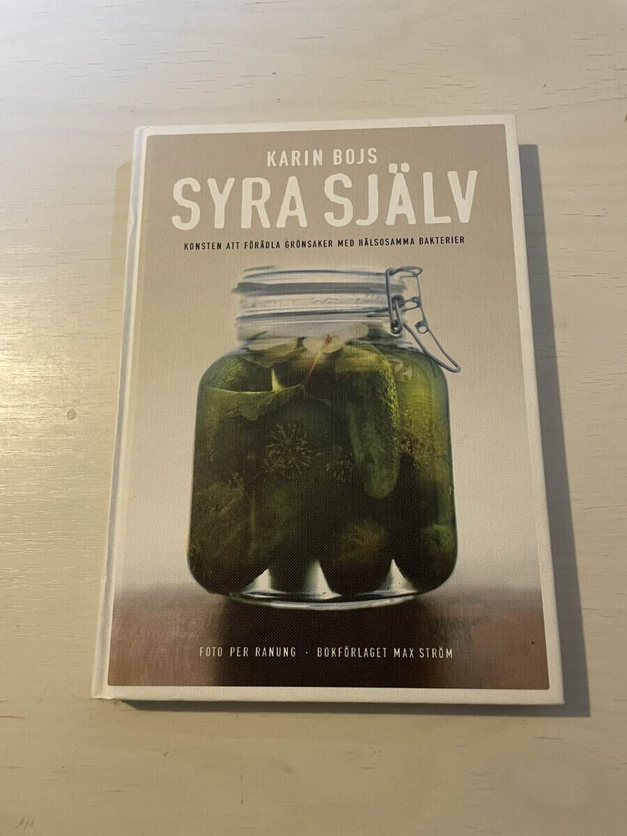 Karin Bojs : Syra själv