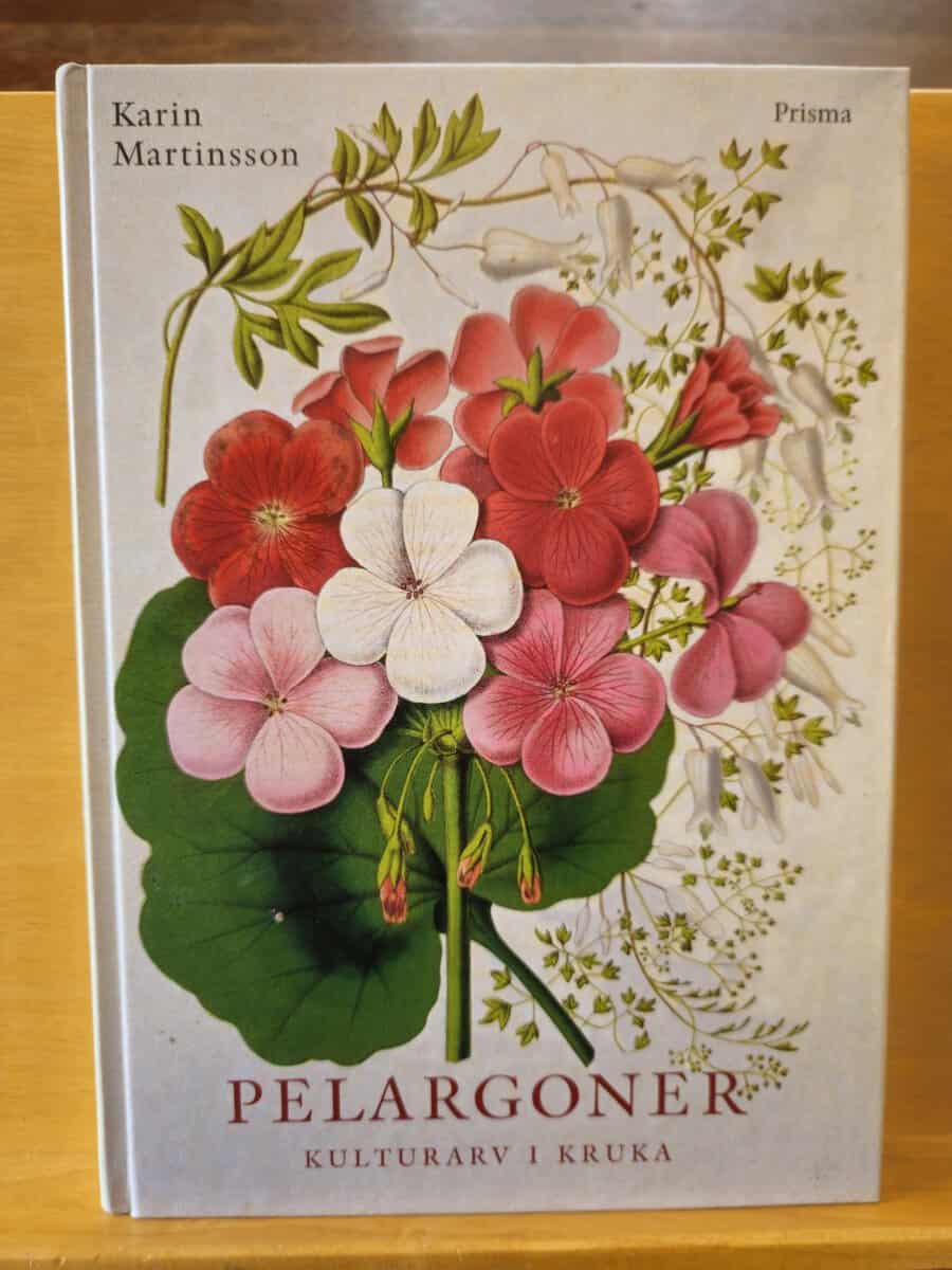 Karin Martinsson : Pelargoner