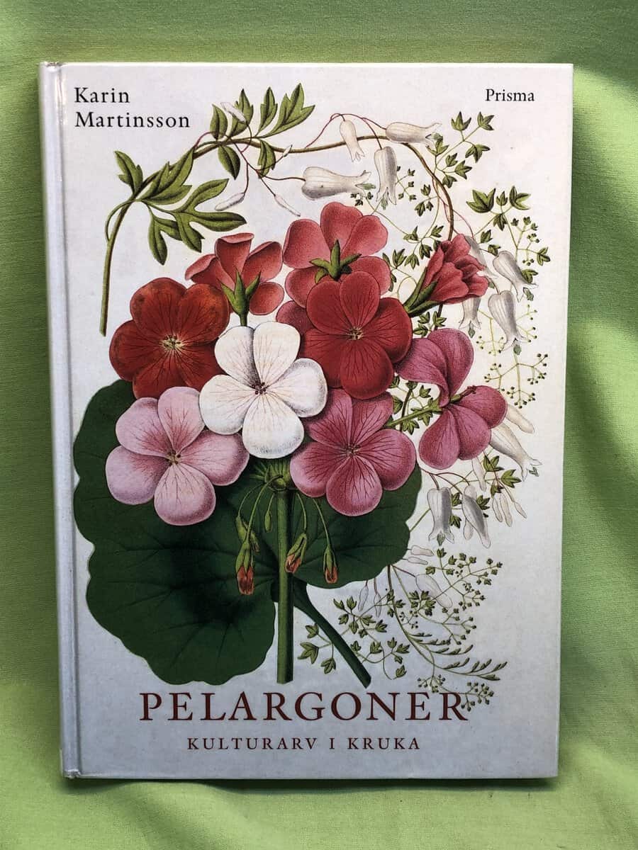 Karin Martinsson : Pelargoner