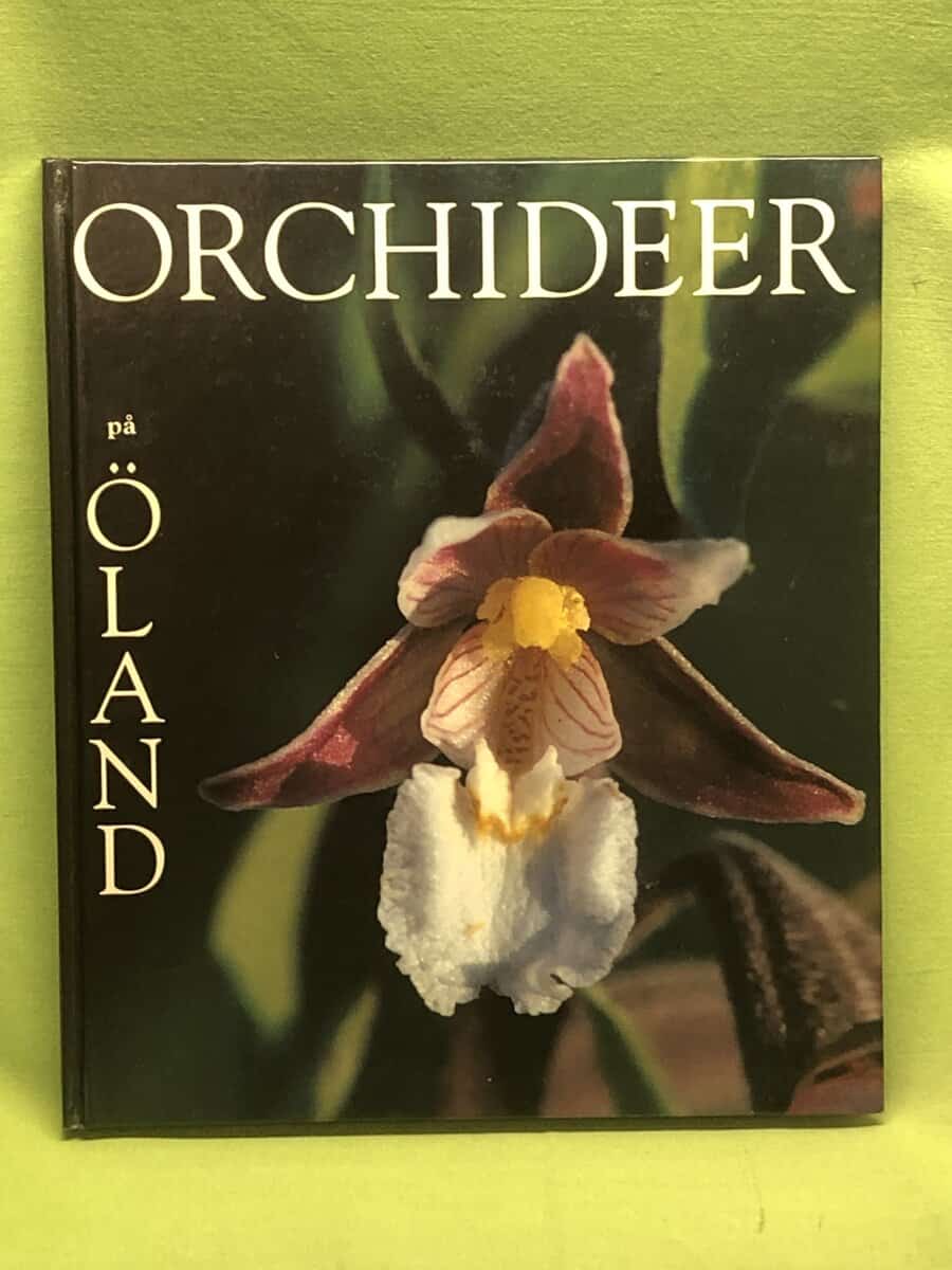 Karin Rusch : Orchideer på Öland