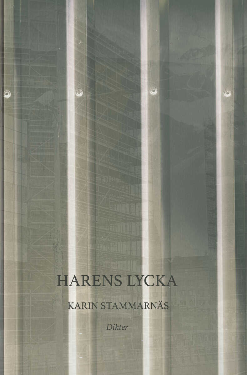 Karin Stammarnäs : Harens lycka