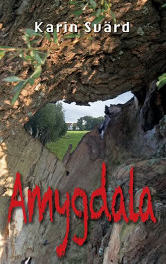 Karin Svärd : Amygdala