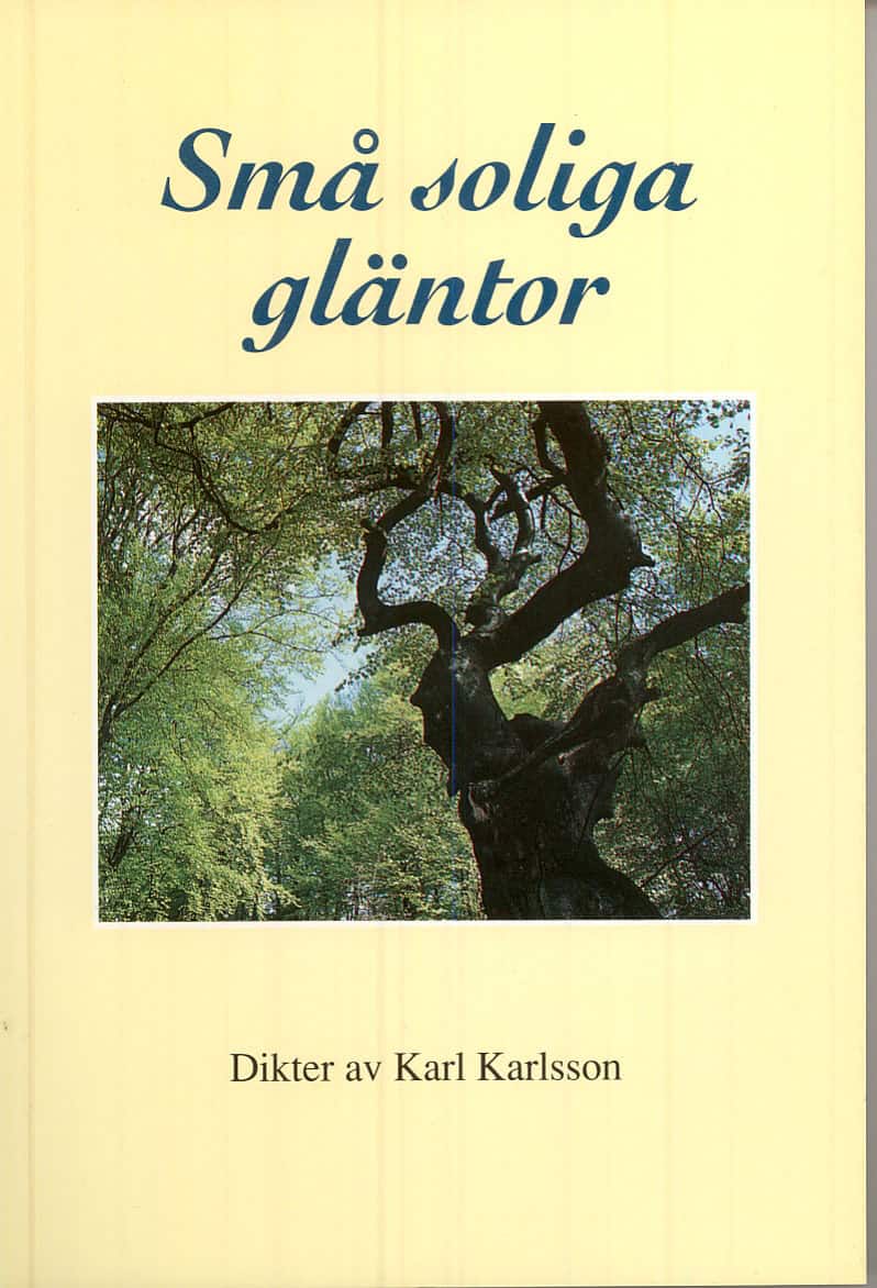 Karl Karlsson : Små soliga gläntor