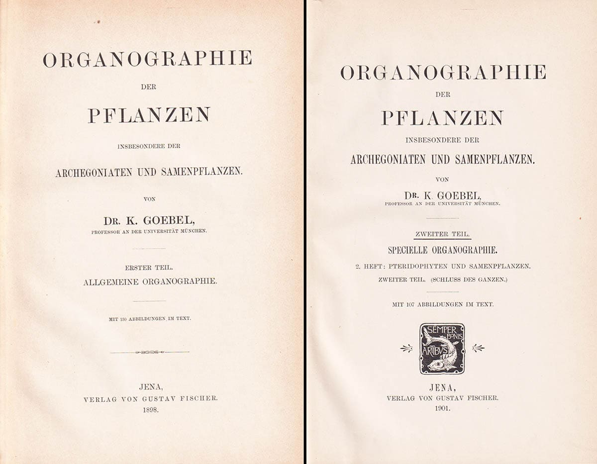 Karl von Goebel : Organographie der Pflanzen. Insbesondere der Archegoniaten und Samenpflanzen. Erster teil - Zweiter teil (I-II, komplett)