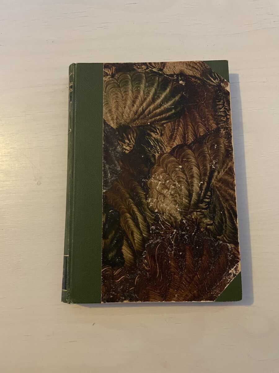 Karolinska förbundets årsbok 1916