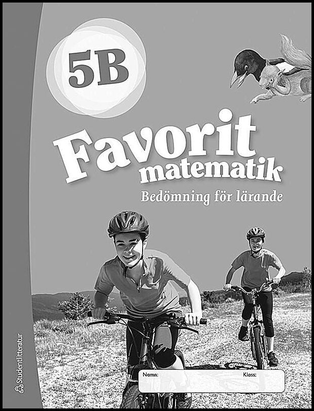 Katariina Asikainen : Favorit matematik 5B Bedömning för lärande