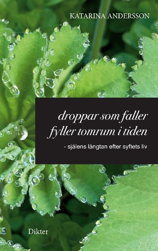 Katarina Andersson : Droppar som faller fyller tomrum i tiden : själens längtan efter syftets liv