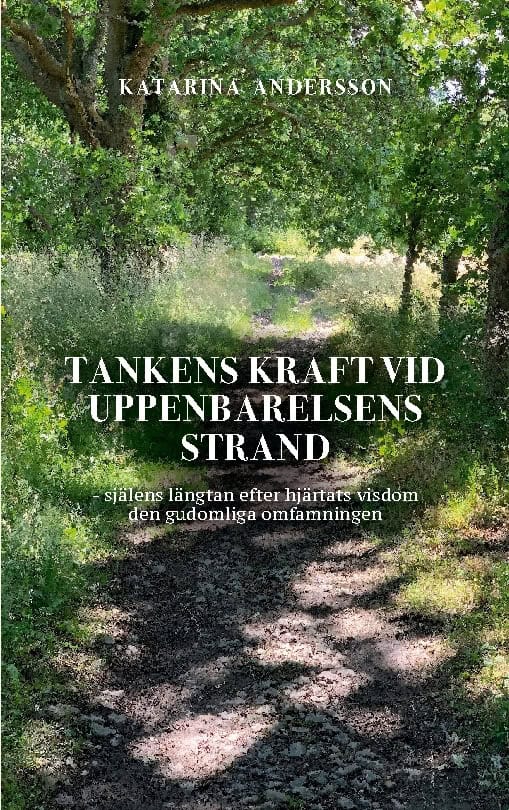 Katarina Andersson : Tankens kraft vid uppenbarelsens strand