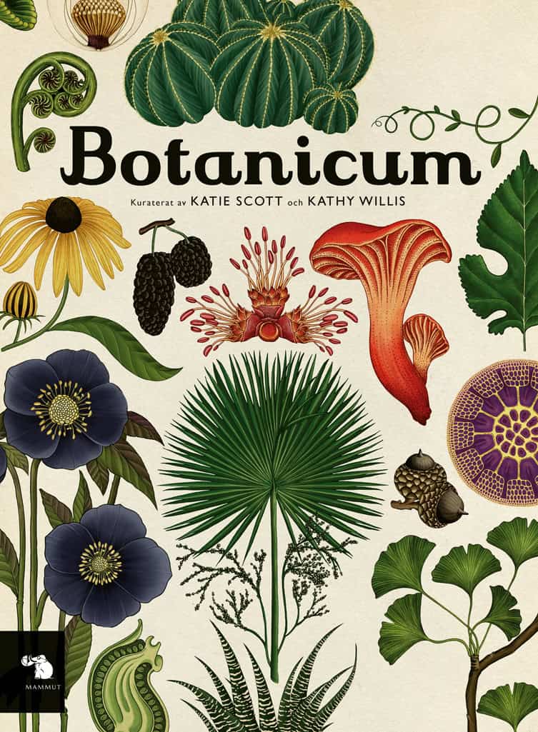 Kathy Willis : Botanicum