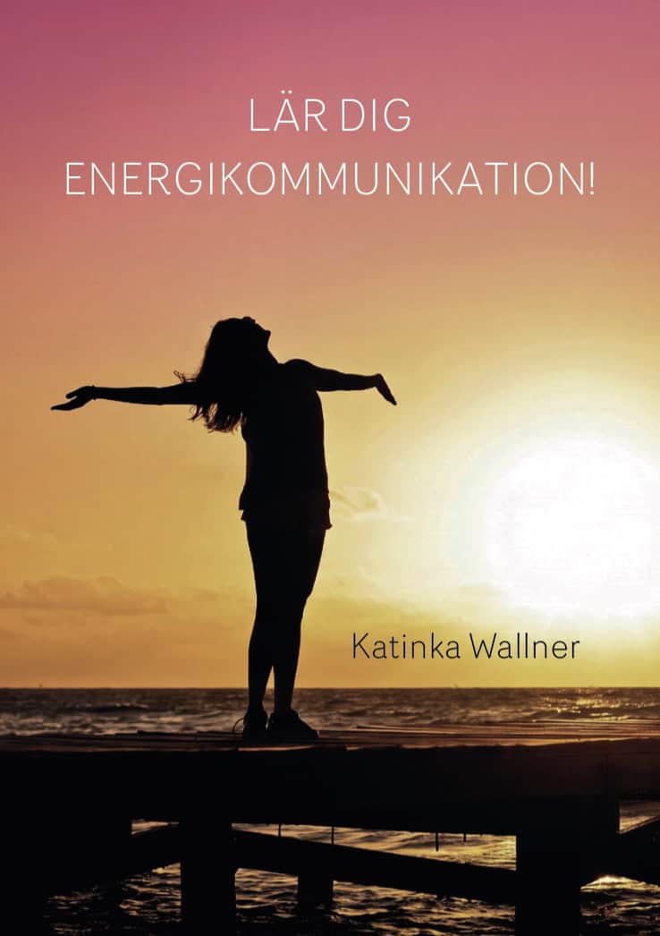 Katinka Wallner : Lär dig energikommunikation!