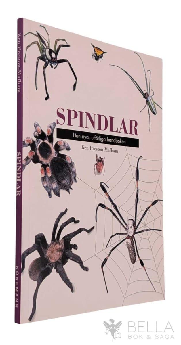 Ken Preston-Mafham : Spindlar