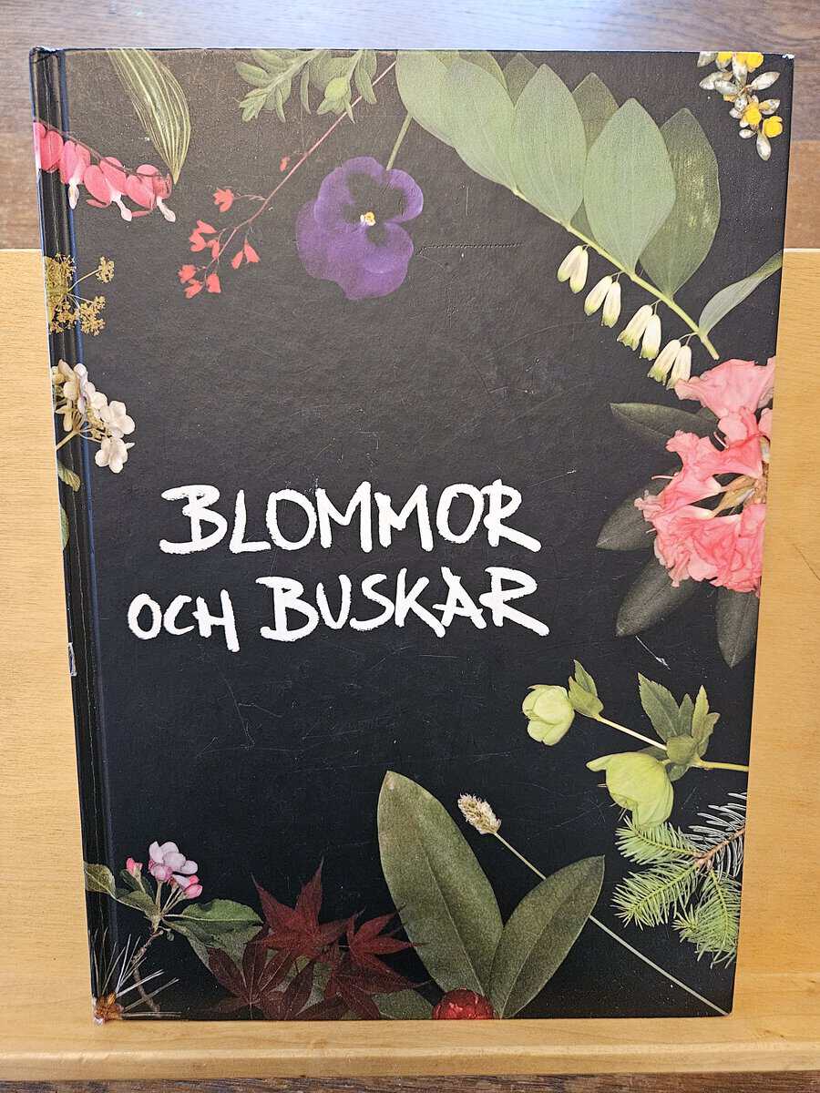 Kenneth Lorentzon : Blommor och buskar