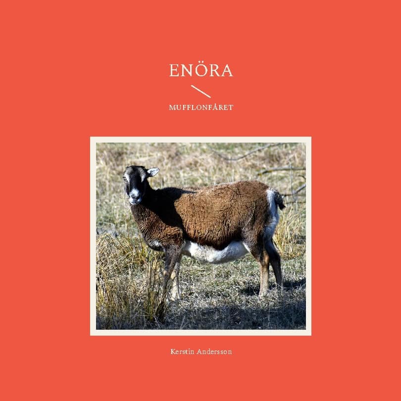 Kerstin Andersson : Enöra