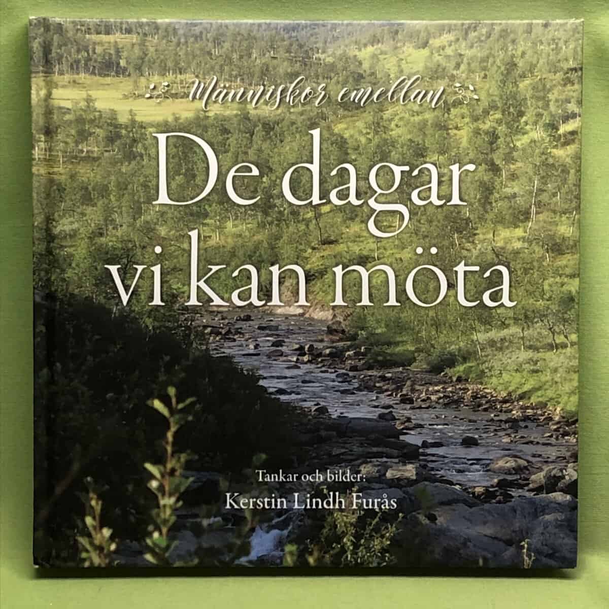 Kerstin Lindh Furås : De dagar vi kan möta